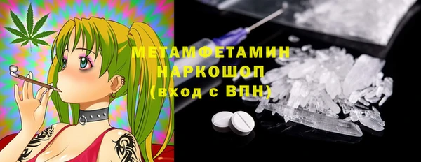 сатива Балахна