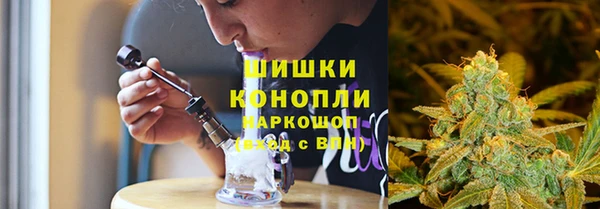 сатива Балахна