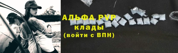 сатива Балахна