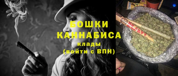сатива Балахна