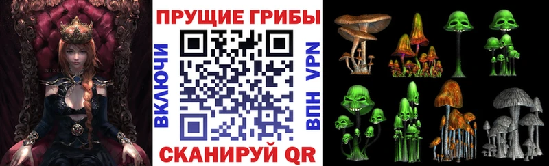 Галлюциногенные грибы Cubensis  купить наркоту  Ужур 